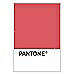 PANTONE WEDDING Swatch Cards