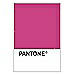PANTONE WEDDING Swatch Cards