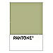 PANTONE WEDDING Swatch Cards