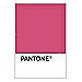 PANTONE WEDDING Swatch Cards