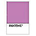 PANTONE WEDDING Swatch Cards