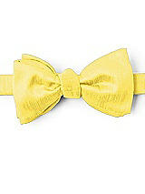 Dupioni Bow Ties