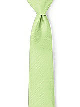 Men's Neck Ties in Dupioni
