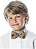 Boy's Clip Bow Tie in Duchess Satin