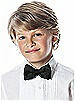 Boy's Clip Iridescent Taffeta Bow Tie