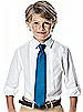 Boy's 50" Iridescent Taffeta Neck Tie