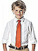 Boy's 50" Iridescent Taffeta Neck Tie