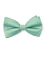 Boy's Clip Bow Tie in Peau de Soie