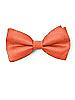Boy's Clip Bow Tie in Peau de Soie
