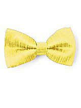 Boy's Clip Bow Tie in Dupioni