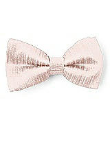 Boy's Clip Bow Tie in Dupioni