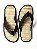 Men's Destination Flip Flop