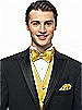 Tuxedo Vests in Duchess Satin