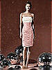 Social Bridesmaids Style 8107