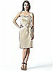 Dessy Collection Style 2841
