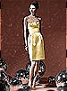 Social Bridesmaids Style 8104
