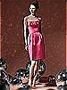 Social Bridesmaids Style 8104