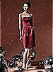Social Bridesmaids Style 8104