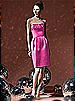 Social Bridesmaids Style 8104