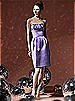Social Bridesmaids Style 8104