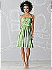 After Six Bridesmaid Dress 6620