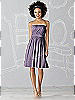After Six Bridesmaid Dress 6620