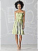 After Six Bridesmaid Dress 6620