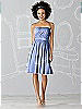 After Six Bridesmaid Dress 6620