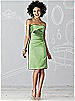 After Six Bridesmaid Dress 6618