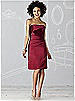 After Six Bridesmaid Dress 6618