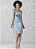After Six Bridesmaid Dress 6618
