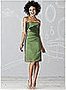 After Six Bridesmaid Dress 6618
