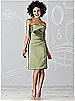 After Six Bridesmaid Dress 6618
