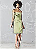 After Six Bridesmaid Dress 6618