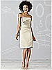 After Six Bridesmaid Dress 6618