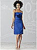 After Six Bridesmaid Dress 6618