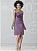 After Six Bridesmaid Dress 6618