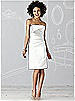 After Six Bridesmaid Dress 6618