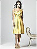 Dessy Collection Style 2862