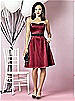 After Six Bridesmaids Style 6629