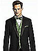 Paragon Pocket Square