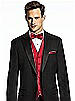 Paragon Pocket Square