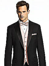 Paragon Pocket Square