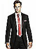 Paragon Skinny Tie