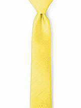 Men's Skinny Ties in Dupioni